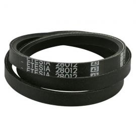 Drive Belt 1007mm - Ref.28012