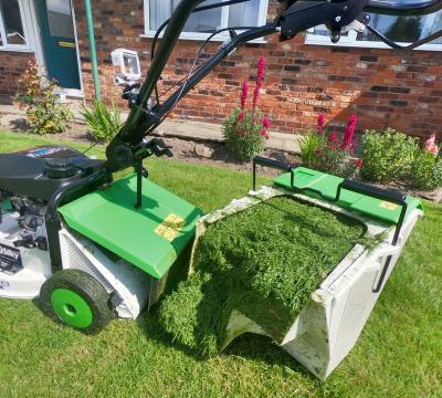 etesia mower grassbox grass full freshly cutted